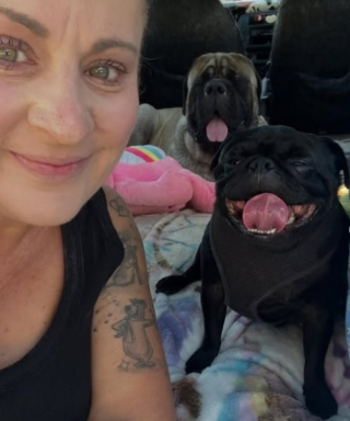 Illustration de l'article : Un duo improbable, formé par un Mastiff et un Carlin, s’amuse sur la plage et profite d’un moment privilégié (vidéo)