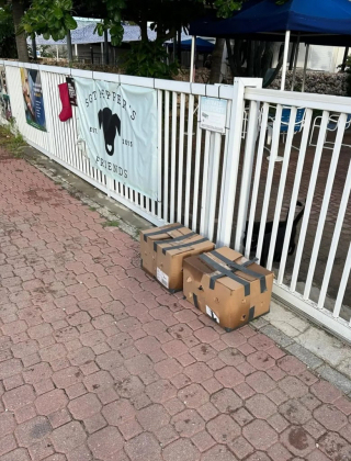 Illustration de l'article : 8 chiots abandonnés dans un carton devant un refuge attendent avec impatience une famille aimante (vidéo)