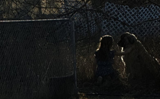 Illustration de l'article : Une petite fille dit au revoir à son grand copain canin avant de devoir déménager et le perdre de vue