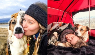 Illustration de l'article : 10 photos montrant tout l’amour des chiens pour leurs meilleurs amis