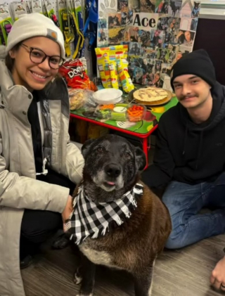 Illustration de l'article : Ce chien trouve enfin une famille aimante après avoir passé 4 ans dans un refuge