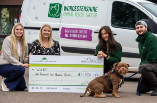 Illustration de l'article : Un constructeur immobilier vient en aide à un refuge animalier grâce à un très généreux chèque