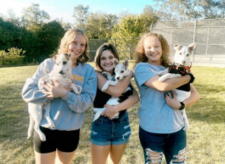 Illustration de l'article : 3 chiots en difficulté deviennent les compagnons inséparables de jeunes étudiantes