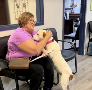 Illustration de l'article : Cette chienne de refuge réalise qu’elle est adoptée et fait un câlin émouvant à sa nouvelle maîtresse (vidéo)