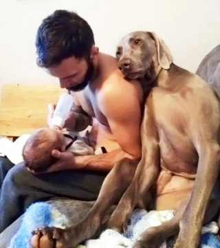 Illustration de l'article : 10 photos montrant tout le bonheur qu’un chien apporte au foyer