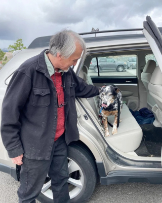Illustration de l'article : Ce chien traumatisé et abandonné par sa famille réapprend à aimer et trouve un nouveau foyer (vidéo)