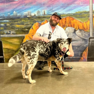 Illustration de l'article : Ce chien traumatisé et abandonné par sa famille réapprend à aimer et trouve un nouveau foyer (vidéo)