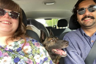 Illustration de l'article : Cette chienne à 3 pattes au passé difficile mordille ses peluches pour qu’elles soient comme elles