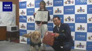 Illustration de l'article : Lors d’une promenade, un chien retrouve spontanément une femme disparue