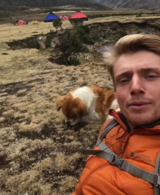Illustration de l'article : Perdu à 4 700 mètres d’altitude, un randonneur suit un chien mystérieux pour retrouver son chemin (vidéo)