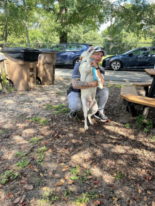 Illustration de l'article : Pendant 7 mois, ce toutou a passé la patte à travers le grillage de son chenil pour attirer l’attention des adoptants, mais ses efforts ont fini par payer