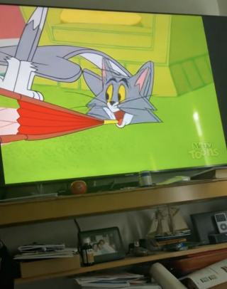Illustration de l'article : Un chiot Teckel découvre pour la première fois le dessin animé Tom et Jerry, et il n’en perd pas une miette (vidéo)