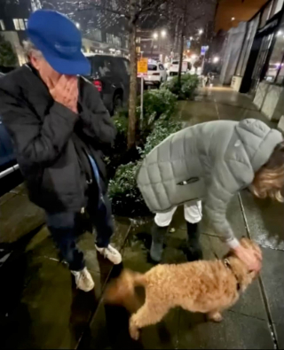 Illustration de l'article : Ce toutou senior retrouve ses maîtres après avoir inexplicablement disparu à l’entrée d’un magasin 2 jours auparavant