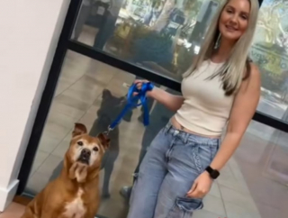 Illustration de l'article : Plus de 4 ans après son arrivée au refuge, ce chien senior peut enfin goûter au bonheur d’avoir une famille (vidéo)