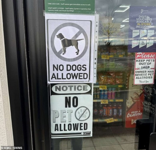 Illustration de l'article : Pourtant aveugle à 97%, cette femme se voit refuser l’entrée d’un magasin avec son chien d’assistance