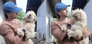 Illustration de l'article : Recueilli errant en piteux état, ce chien retrouve la santé avant de disparaître pour une raison qui a enchanté son sauveteur