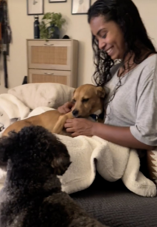 Illustration de l'article : Le chien qu’elle accueille temporairement lui fait un câlin pour la première fois et elle ne peut retenir ses larmes (vidéo)