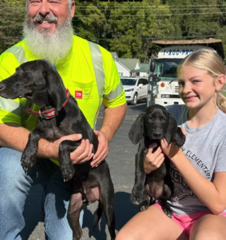 Illustration de l'article : Séparés de leur famille pendant 1 semaine après un ouragan, une chienne et son chiot retrouvent leur foyer grâce à un employé du service des transports (vidéo)