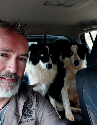 Illustration de l'article : Grâce à sa truffe, ce Border Collie vient en aide aux animaux sauvages blessés (vidéo)