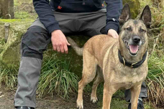 Illustration de l'article : Alors qu’il fait une crise cardiaque depuis plusieurs heures, sa chienne lui fait comprendre que quelque chose ne va pas et lui sauve la vie