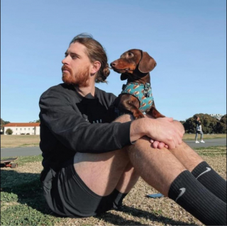 Illustration de l'article : Un Teckel est tellement bien dressé qu’il obéit automatiquement aux paroles d’une chanson (vidéo)