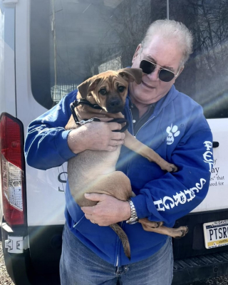 Illustration de l'article : Abandonné dans des toilettes de chantier, un chiot de 8 mois effrayé est sauvé par un passant et trouve une fin heureuse