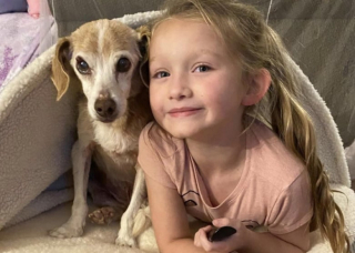 Illustration de l'article : Un chien de 14 ans abandonné au bord de la route a trouvé une famille auprès de qui il a passé une dernière année remplie d’amour