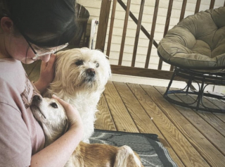 Illustration de l'article : Un chien de 14 ans abandonné au bord de la route a trouvé une famille auprès de qui il a passé une dernière année remplie d’amour