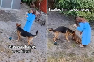 Illustration de l'article : Une femme est surprise lorsque son chien découvre un chiot abandonné dans son jardin clôturé (vidéo)