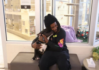 Illustration de l'article : Depuis 6 mois, il cherche sa chienne disparue et la retrouve par hasard dans un refuge alors qu’il se baladait (vidéo)