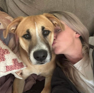 Illustration de l'article : Prise de mélancolie, elle part faire une balade durant laquelle elle va faire la rencontre d’un toutou qui va changer sa vie