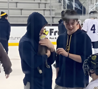 Illustration de l'article : Une bande de chiots rend visite à une équipe de hockeyeurs distraits et heureux de leur présence (vidéo)