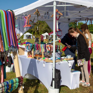 Illustration de l'article : La nouvelle édition de Canidays avec Hill’s se déroulera du 4 au 6 juillet 2025 avec encore plus d’activités et de plaisir