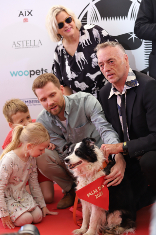 Illustration de l'article : Panda, sacré meilleur acteur canin à la Palm Dog 2025, pour son rôle dans « L'Amour qu'il nous reste » (« The Love That Remains »)