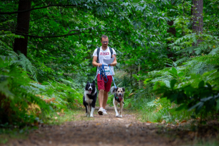 Illustration de l'article : Le programme alléchant de Canidays avec Hill’s, le rendez-vous sportif de l’été pour les chiens et leur famille