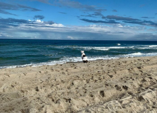 Illustration de l'article : 15 chiens heureux de randonner avec leurs humains préférés