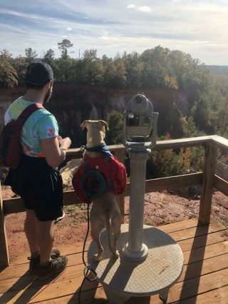 Illustration de l'article : 15 chiens heureux de randonner avec leurs humains préférés