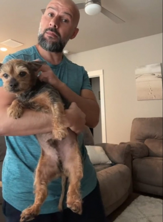 Illustration de l'article : Ce chien senior habitué à l’appartement découvre avec joie le jardin de sa nouvelle maison (vidéo)