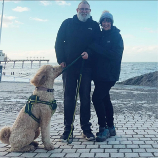 Illustration de l'article : Un couple pense adopter un chien minuscule qui grandit jusqu’à peser 45 kilogrammes