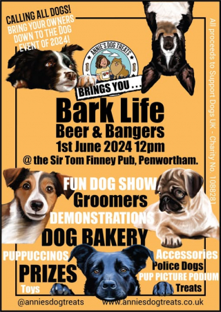 Illustration de l'article : Une adolescente handicapée organise un événement canin grâce à l’aide précieuse de son chien de thérapie