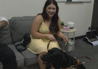 Illustration de l'article : Lors de sa remise de diplôme, une étudiante aveugle met à l’honneur sa chienne-guide pour la remercier de son aide au quotidien (vidéo)