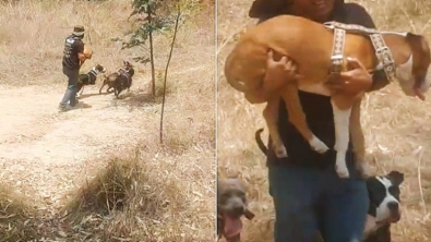 Illustration : "Tous les jours, ce papa poule court avec son chien handicapé dans les bras pour lui permettre de s’amuser"