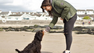 Illustration : "Un chiot, sauvé par une inconnue, va lui rendre la pareille tandis qu’elle traversait un moment difficile"