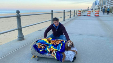 Illustration : "Un homme construit un véhicule pour son chien âgé afin qu’ils puissent continuer de se rendre sur leur plage préférée"