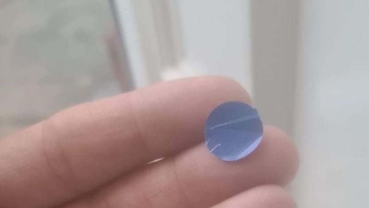 Elle remarque un autocollant sur sa maison et elle est certaine que des