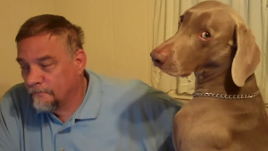 Illustration : "Vidéo : ce chien tente désespérément d’intéresser son papa, qui fait exprès de l’ignorer"
