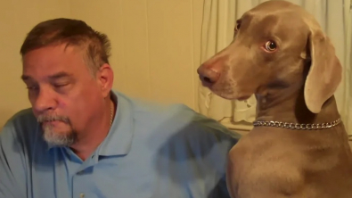 Illustration : "Vidéo : ce chien tente désespérément d’intéresser son papa, qui fait exprès de l’ignorer"