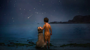 Illustration : "16 photos illustrant magnifiquement l'amitié entre un garçon et sa chienne"