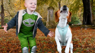 Illustration : "Ce Beagle veille sur son petit frère humain et l’aide même à franchir les étapes de sa croissance"