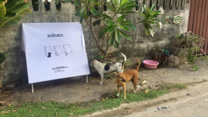 Illustration : "En Thaïlande, un homme réutilise des panneaux publicitaires afin de les transformer en abris pour les chiens errants"